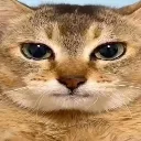 emoji_47