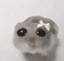 sadhamster