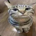 waitimgoated