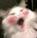 d9_ayehaye Discord emoji