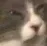 deflatesviolently