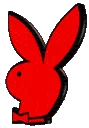 ORedBunnyAnimated