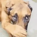 stinky