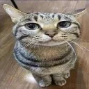 emoji_26