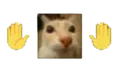 mb