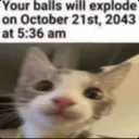 balls