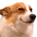 dogheh