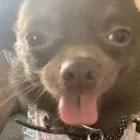 cuteddy