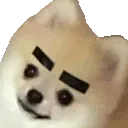 brows