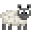 mareep