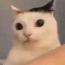 emoji_3 emoji_3