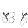 Butterflieswhite