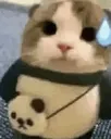 pofmoji4