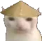 ricehatcat