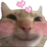 Worlds_Cat_Lovehappy