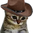 SadCat SadCat