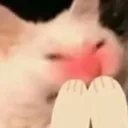 emoji_76