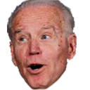 biden_pog Discord emoji