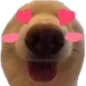 dawg_heartEyes