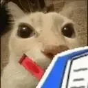 Catnoted
