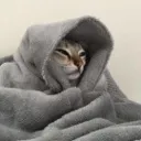 Sleepy