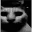 CatDespair