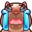 capycry