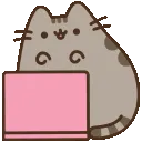 2_pusheenwork
