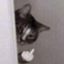 emoji_61 custom emote from #- thunder server  15k ?