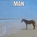 man_horse