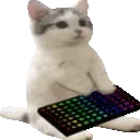 gattowork