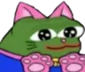 pepecatboy