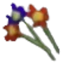 redblue