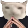 VeryBaseg