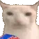 veryCat