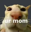 mm_urmom