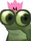 ModFrogebigeyes