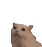 SCkittymeowHEARTS_flipped
