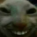 xdd
