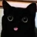 Car_blep Car_blep