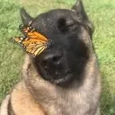 AtPeace