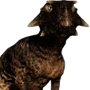 isle_taco_head