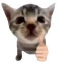 thumbsup