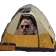 bubacamp