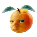 BRUHOKAYBRUH