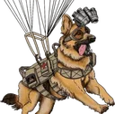 78828militaryskydivedog