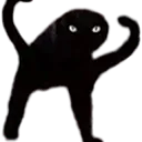 blackcat