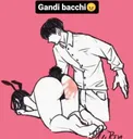 gandi_bachii