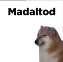 Hangout_dogemadaltot