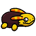 lizorangeconga